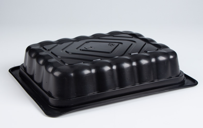 disposable lunch boxes