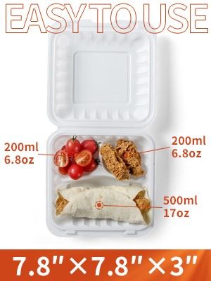 Disposable Biodegradable Food Container