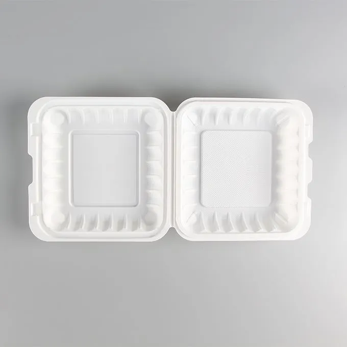 Cutie de prânz din plastic