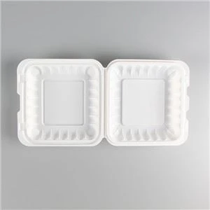 Cutie de prânz din plastic