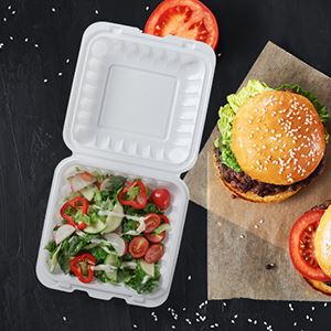 To Go Containere pentru alimente cu balamale