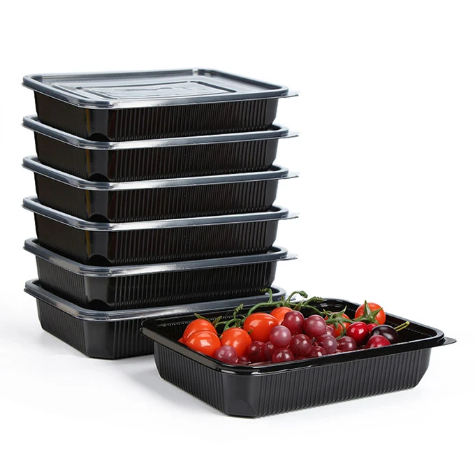 Recipiente de prânz din plastic de unică folosință