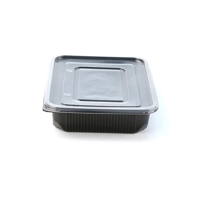 Recipiente din plastic Recipiente pentru prepararea mesei