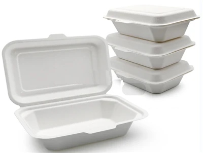Bagaș To Go Containere cu capace