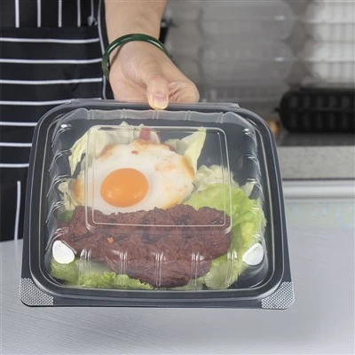 Delicate containere depozitare alimente