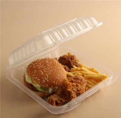Container de unică folosință transparent
