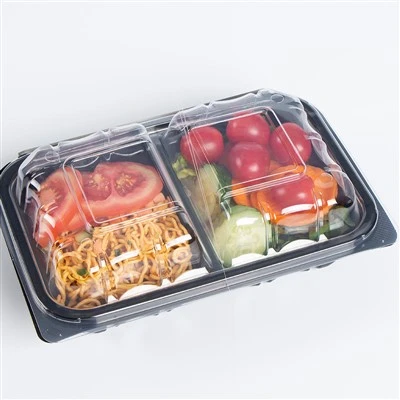 Recipiente japoneze de unică folosință Bento Box