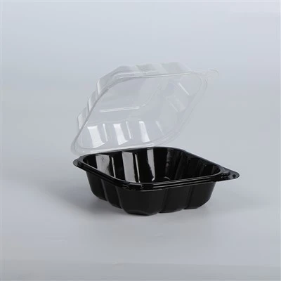 Recipiente din plastic pentru scoatere