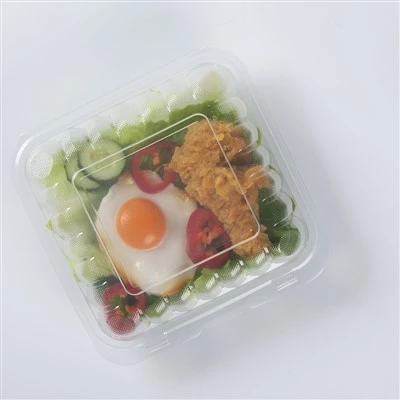 Cutie de prânz Bento pentru alimente de unică folosință