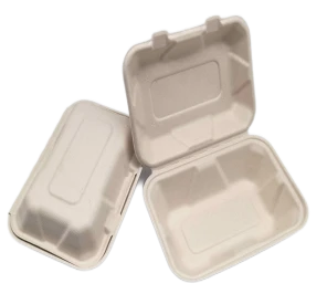 To Go Containere Bagaș de unică folosință