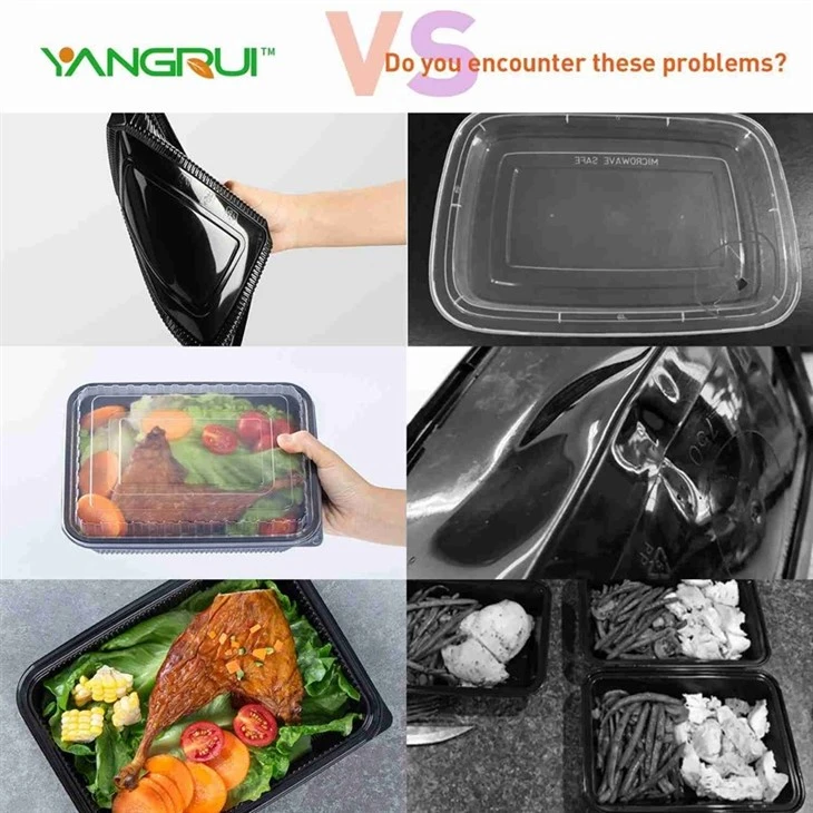 Chinese Food Containers best