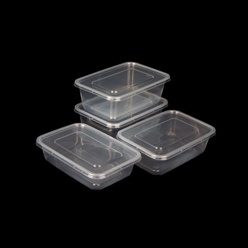 Recipiente din plastic transparent pentru transport