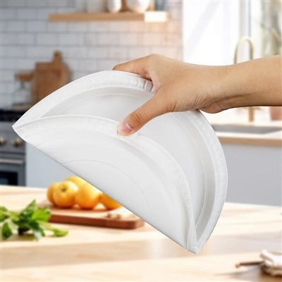 Dinner Plate Dinner Plate