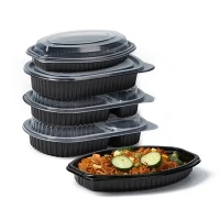 Plastic Microwaveable Take-out Containers Plastic Microwaveable Take-out Containers