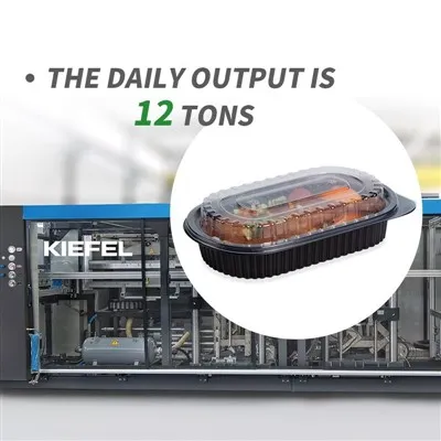 Reusable To-go Container Reusable To-go Container