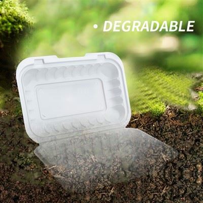 Togo Container